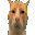 CatHuh