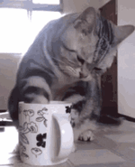 1715539249892.gif 1715539249892.gif