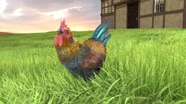 1617306_bg_chicken_showdown_05.jpg 1617306_bg_chicken_showdown_05.jpg