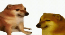 1718108760414.gif 1718108760414.gif
