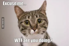 excusemewtf.webp excusemewtf.webp