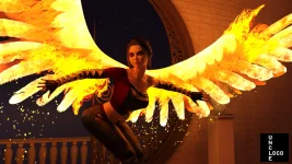 Wall art (fire wings).webp Wall art (fire wings).webp