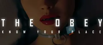 cover image.webp