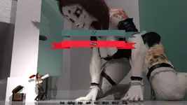 32Mpjm.webp 32Mpjm.webp