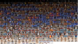 images_overall_composite.png