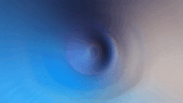 3890666_2-2.gif