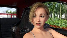 car33.png