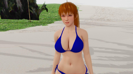 screenshot0009.png