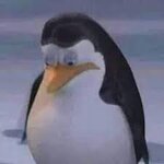 22 ideas de Memes de los pingüinos de Madagascar | memes, memes graciosos,  memes chistosisimos