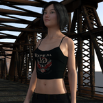 1bridge.png