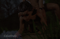 4.gif 4.gif