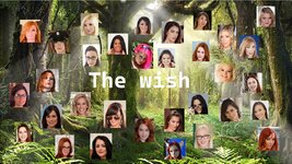 The-Wish-Adult-Game-Cover.jpg