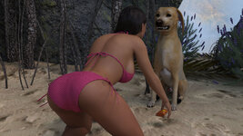 beach17.jpg beach17.jpg