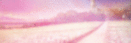 Cover.gif