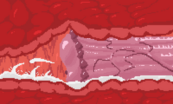 xrayanalhorse3cumbig.png