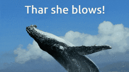 whale-thar-she-blows.gif whale-thar-she-blows.gif