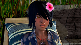 ss4.png ss4.png