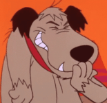 laughing dog.gif