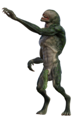 1000000564.png