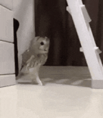 1730013697200.gif