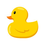 duck.jpg duck.jpg