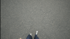 Gif4.gif Gif4.gif