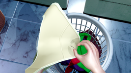 Laundry19.png Laundry19.png