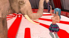 dee_clown_elephant_5_top_4.jpg dee_clown_elephant_5_top_4.jpg