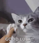 1732774890503.gif 1732774890503.gif