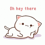 oh hey there.gif