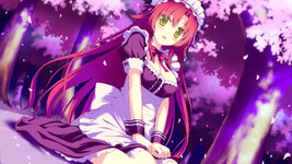 3385153_thumbnail_3.jpg