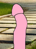 1737231906076.png
