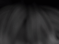 02.gif 02.gif