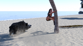 CnP_14022025_193314.png
