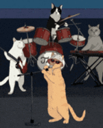 1739752915424.gif