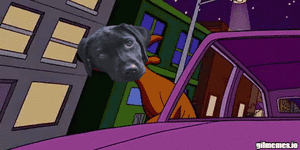 meme (1).gif