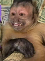 1740335663852.png