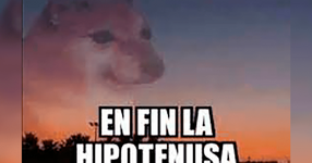 1741462481883.png 1741462481883.png