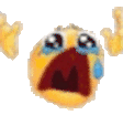 1741641730846.gif 1741641730846.gif