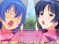 preview 5.jpg