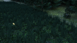 e1.png