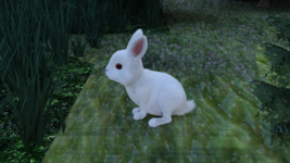e4.png