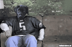 meme (50).gif meme (50).gif