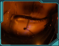ss-1.gif ss-1.gif
