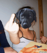 download (2).png
