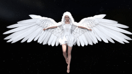 dev_img-2.gif dev_img-2.gif