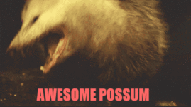AwsomPossum.gif