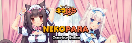 5004307_Cover.png 5004307_Cover.png