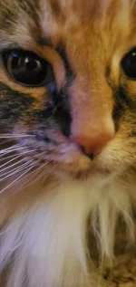 20231218_134711.jpg