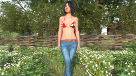 2.png
